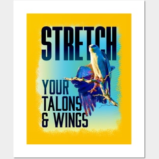 Stretch your talons & Wings Posters and Art